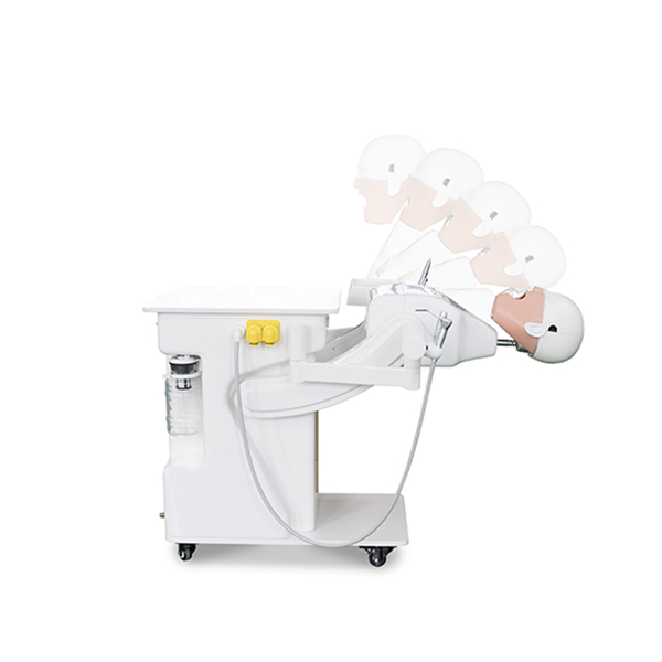 Dental Simulator Structure Diagram