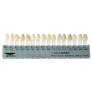 Dental Disposable Multi Layer Synthetic Resin Teeth (Two/Three Layer)