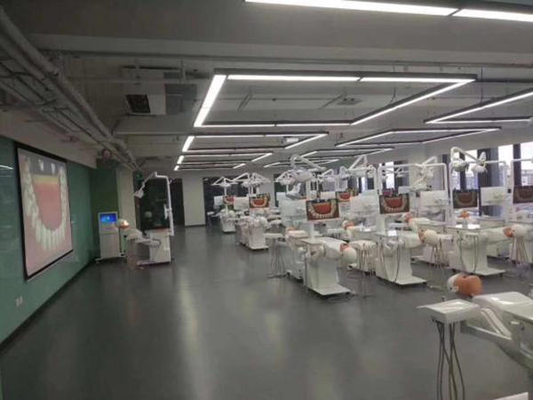 Our dental Simulator projects