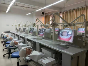 Dental simulator