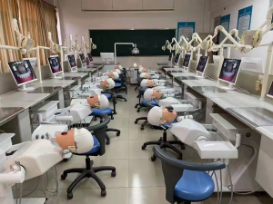 JPS Dental Simulation