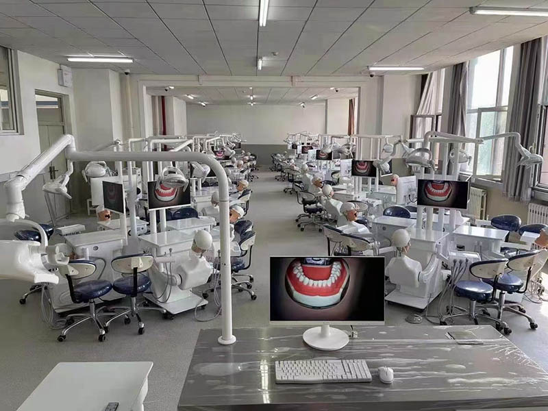 b611a3c19aa4f7da431bec300cff933